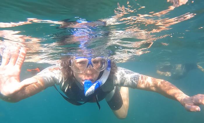 Wild Swim Wales